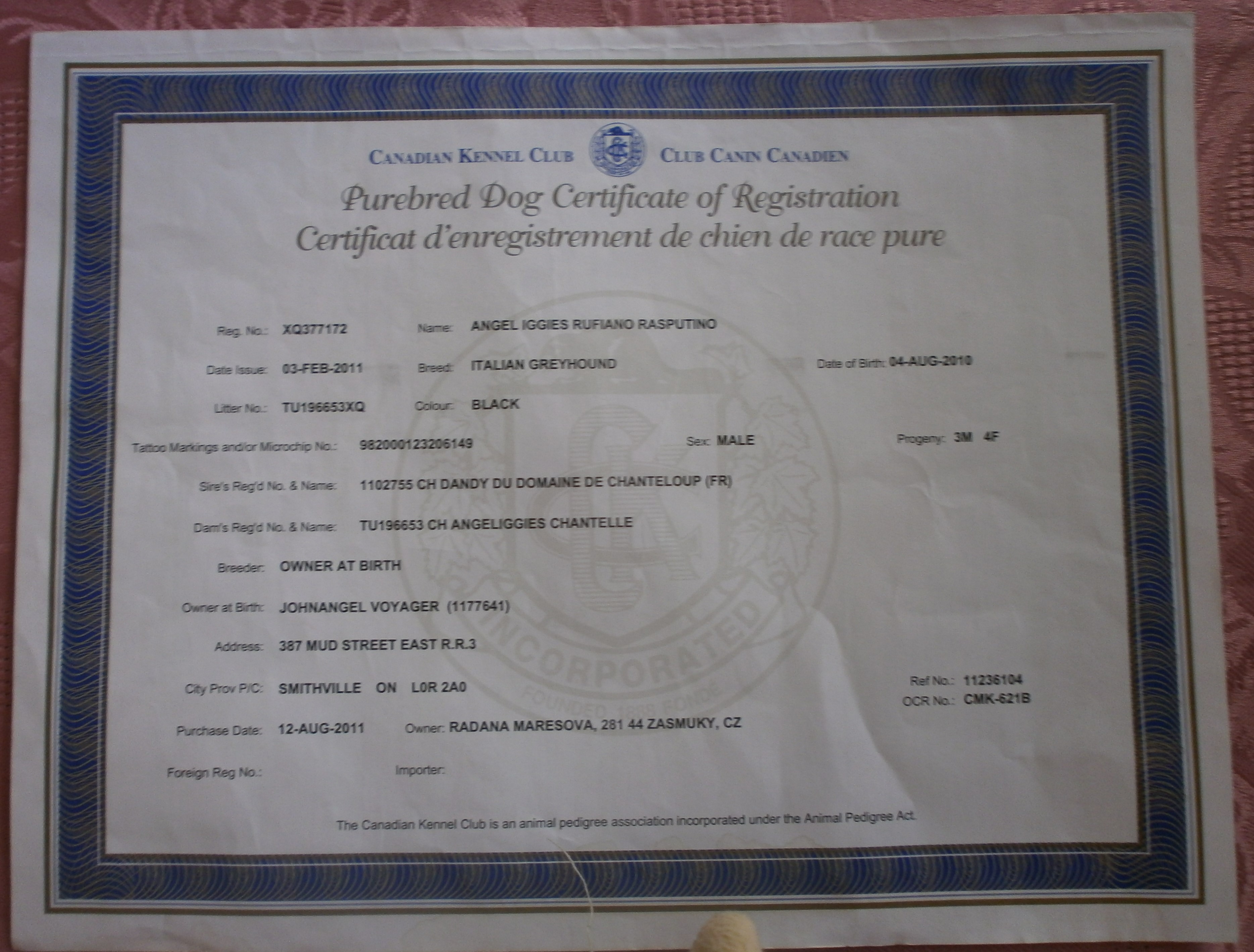 Certifikát CKC 1. strana