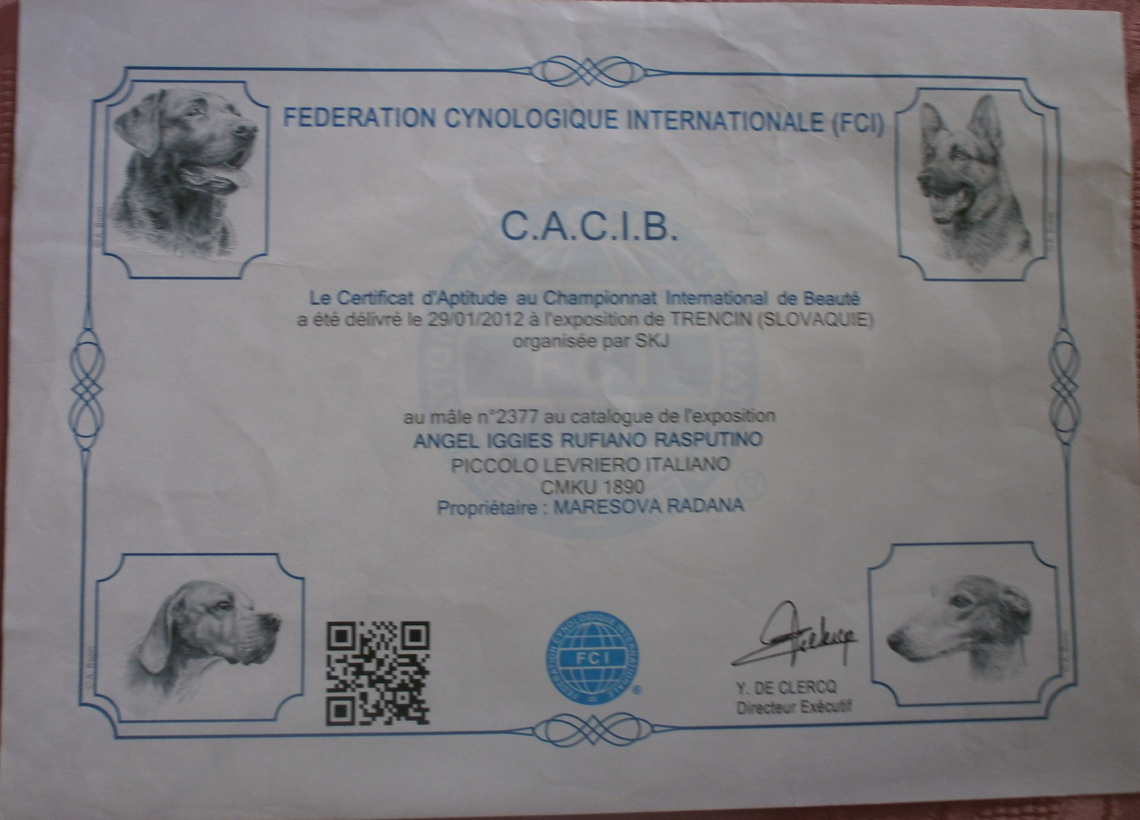 Crtifikát CACIB Rufiano